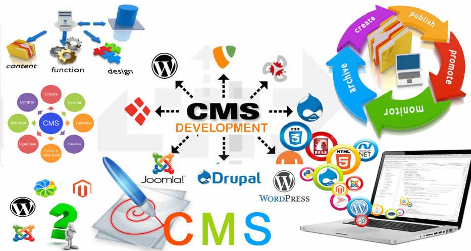 CMS-Development-banner